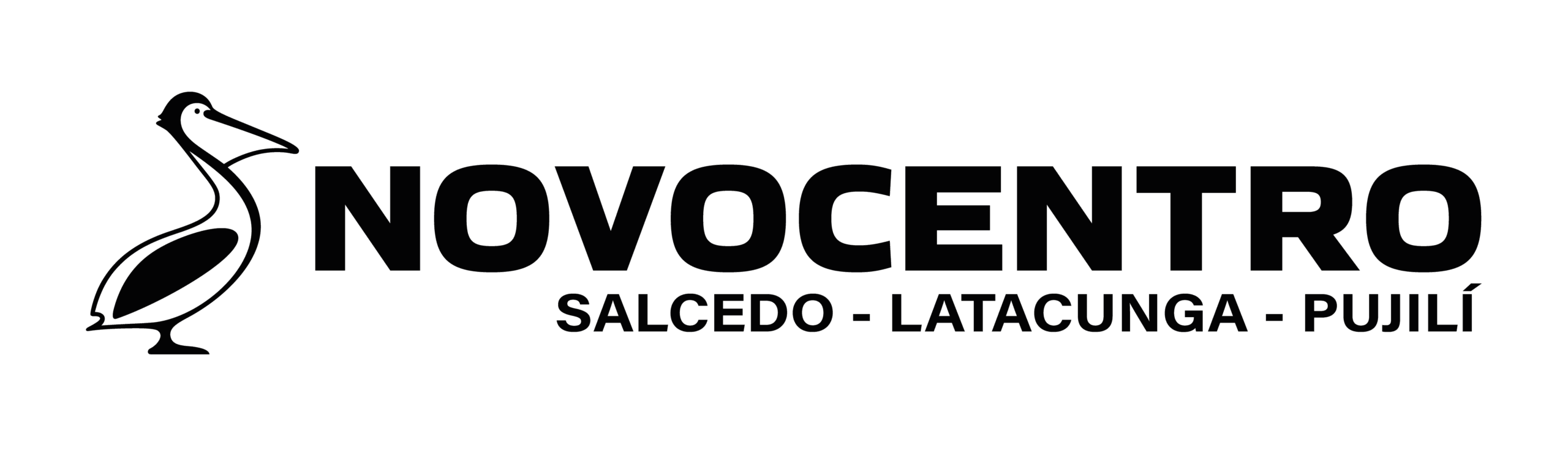 Logo-Rotulo-NOVOCENTRO-PNG-NEGRO